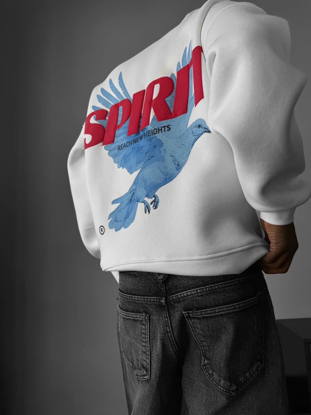 SPRIT WHITE OVERSIZED HOODIEE